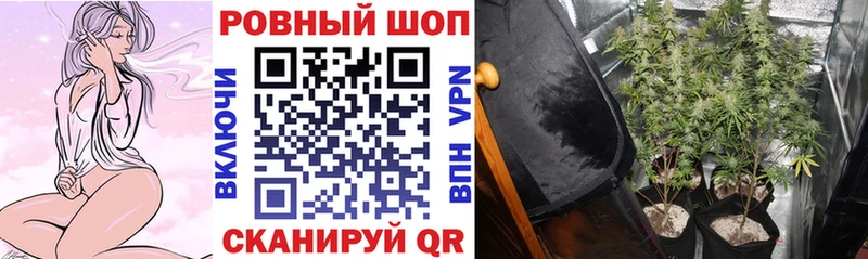 Купить наркотики Питкяранта ссылка на мегу онион КОКАИН МЕТАДОН Гашиш МАРИХУАНА
