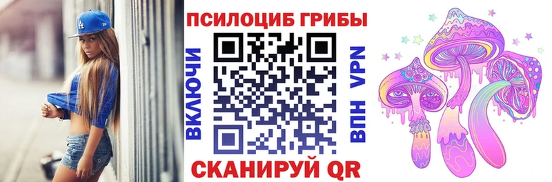 Галлюциногенные грибы мухоморы  купить наркоту  OMG ТОР  Питкяранта 